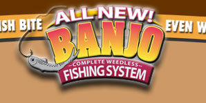 Ordering the Banjo Minnow System
